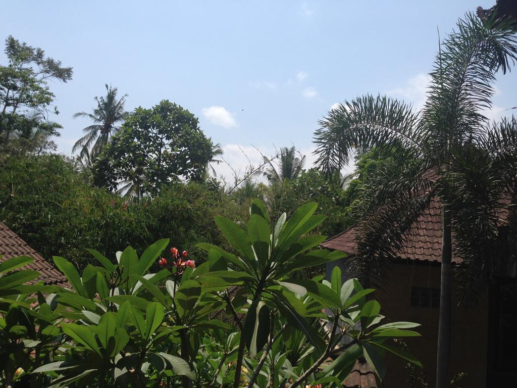 Ubud Rooms B&B Kamer foto