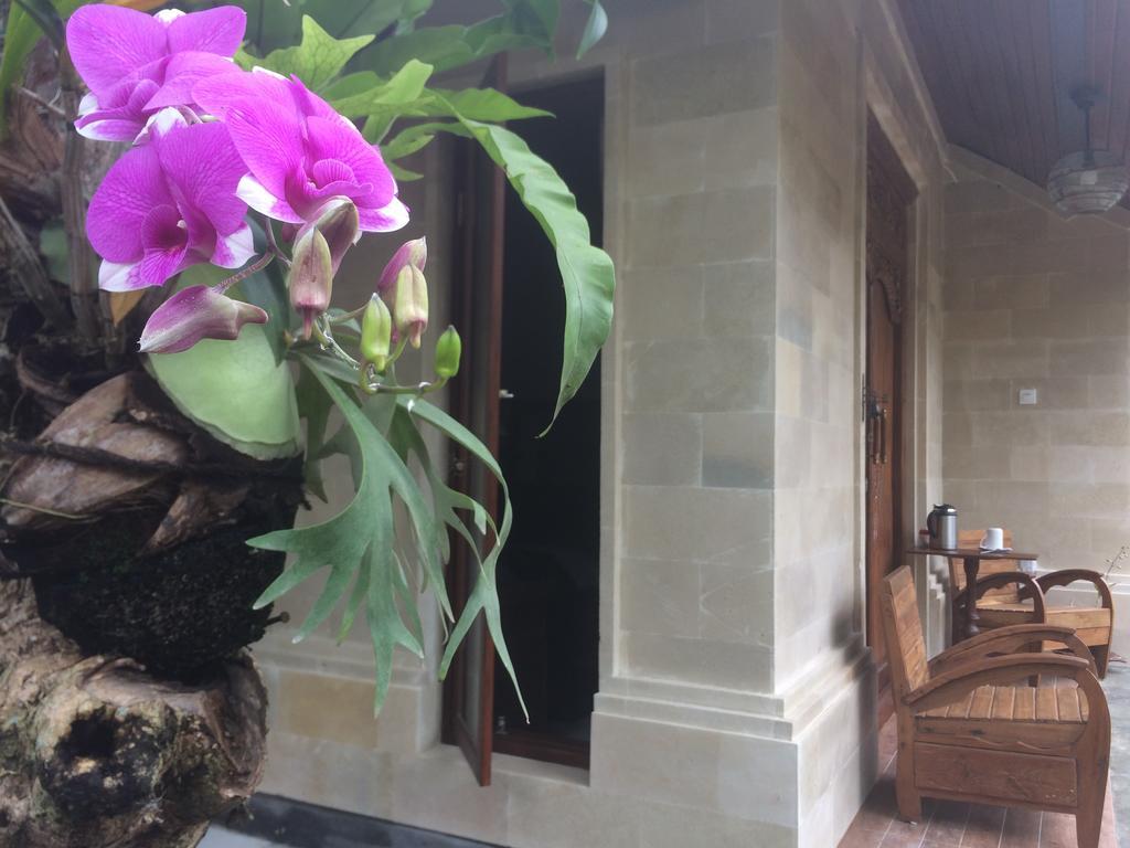 Ubud Rooms B&B Buitenkant foto