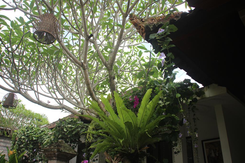 Ubud Rooms B&B Buitenkant foto